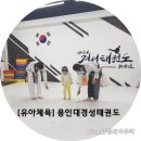 용인대경성태권도장 이미지