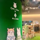 주식회사 게임오아시스 이미지