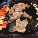도야지천국