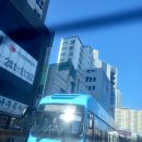 뉴부산관광매일투어