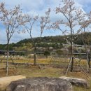 아이(233) | 🌿 경주 라원 방문 후기 (아이와 가기 좋은 경주 신상 핫플)