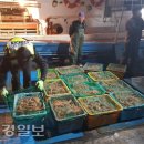 동해-단속-25 이미지