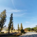 청사큰길 이미지