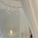 연애하는 청춘 이미지