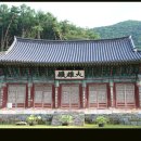 쌍계사대웅전 Daum카페