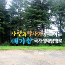 태기산 이미지