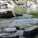 언별1리 이미지