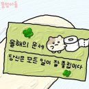 성남 중국어학원 추천, 승무원 외항사 면접 성공 후기