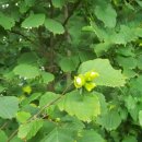 굿마루농장 이미지