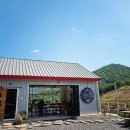 오토홀릭