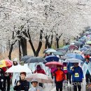 부락산 자전거도로 이미지