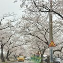 송해보건지소 네이버블로그