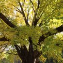 하곡마을 이미지