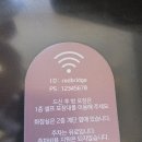 레드브릿지 | 파주 대형카페 레드브릿지 방문 후기｜출렁다리 뷰 감성카페 총정리