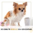 꿀잠 이미지