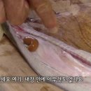팔팔장어 이미지