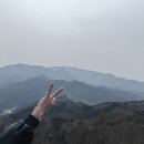 골드링스 - 청주시 흥덕구 가경로 157 | 내돈내산 까르띠에 클래쉬드 링 화이트골드 스몰 4개월 사용 후기