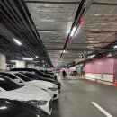 안 | [분당] 판교미용실 헤리안 클리닉 솔직 후기