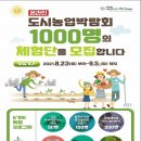 행잉플랜트 공기정화식물체험 이미지