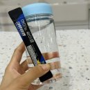 싸이트리션