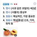 사피엔스 네이버블로그
