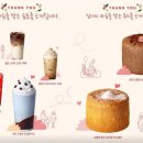 민트인사이트 이미지