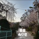 별빛정원펜션 이미지