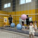 하숑하숑 이미지