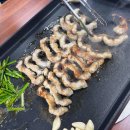 PC복댕이 이미지