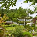 비발디 스케치북 이미지