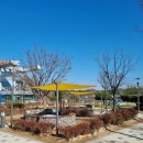 탄금호피크닉공원 2 이미지