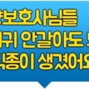 병원동행매니저 자격과정 이미지