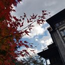 아젤리아 펜션 이미지