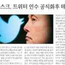 차이나부자