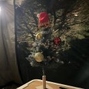 러빙네이쳐 이미지