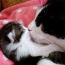 27 당구클럽 이미지