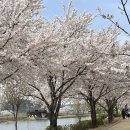 낙동강체육공원 2주차장 화장실 이미지