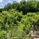 전망좋은곳 이미지