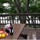 핑키마린펜션 이미지