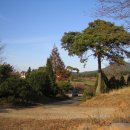 진장농장 이미지