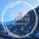 파인탁구 | 스위스 체르마트 숙소 알펜 리조트 호텔 조식 수영장 피트니스 후기