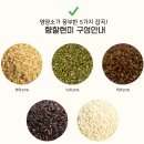 현미과자 대삼정 아기부터 어른까지 즐기는 건강 간식