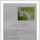 임미자화실