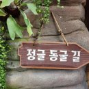 달담구리 | [23. 01 .14~15] 거제도 1박 2일 여행기 #1 <거제식물원 - 정글돔>(by쿠첸)