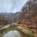 (주)옛길 이미지