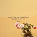 서프라이즈 선물! 부모님께 추억을 선물하다🎁💝 (리크레아 스튜디오, 선물맛집, 대전데이트)