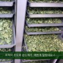 여주-0170 이미지
