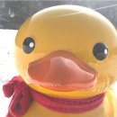 산정호수마을회 이미지