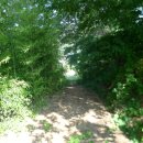 신동1통 마을회관 이미지