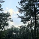 붉은오름자연휴양림 : 억새꽃실 후기